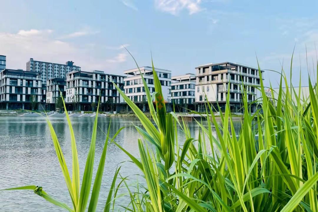移動智地